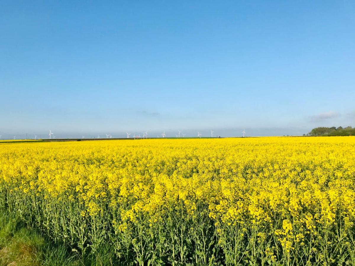 Domki I Apartamenty Caloroczne Koliber Władysławowo Exteriör bild